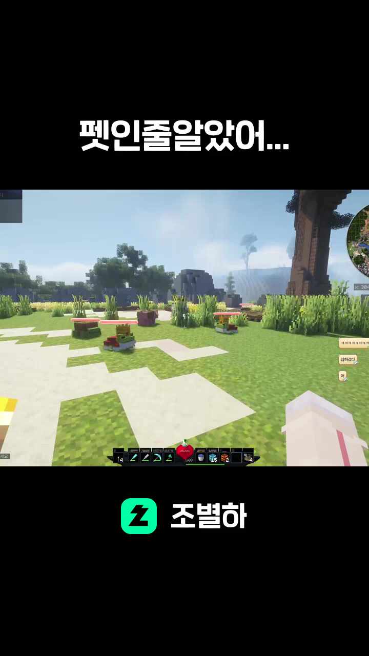 펫인줄알았어...