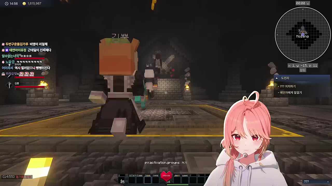 픽크타2 보스전 레이드