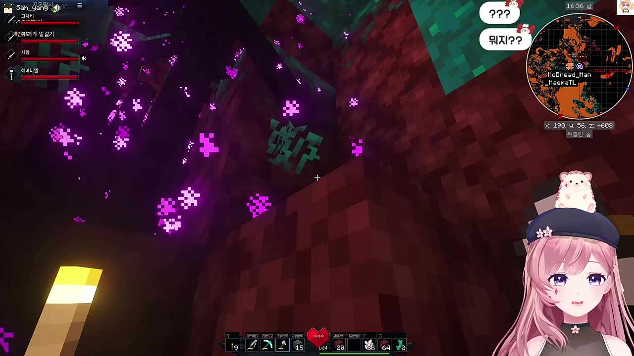 눈을 깔지않았구나