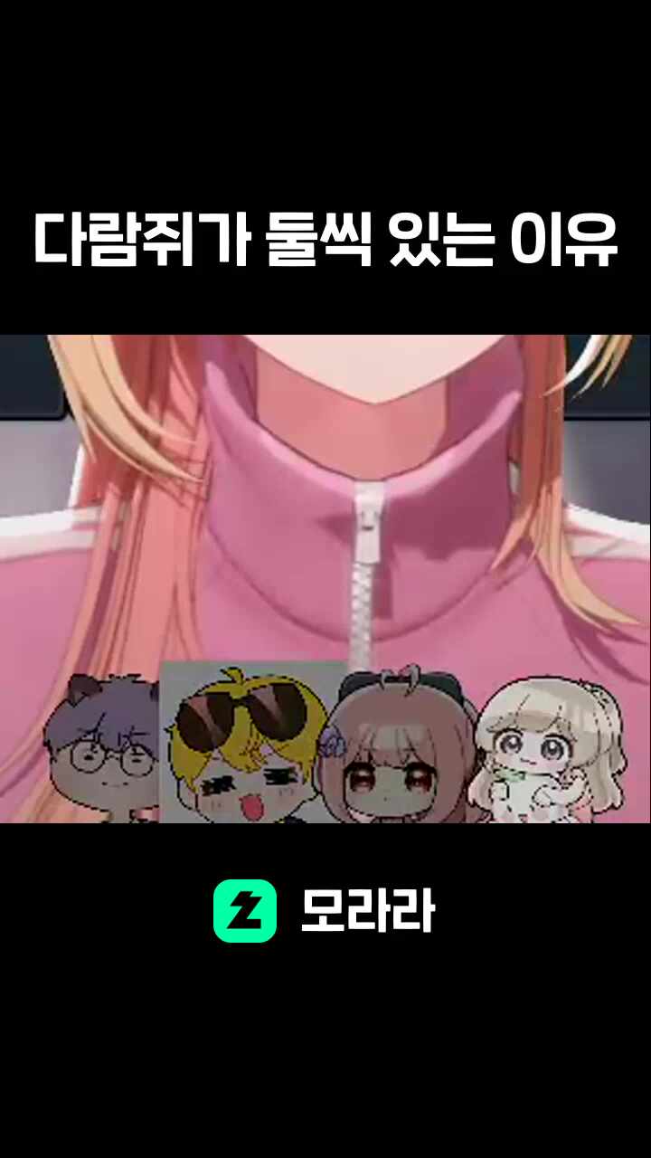 다람쥐가 둘씩 있는 이유