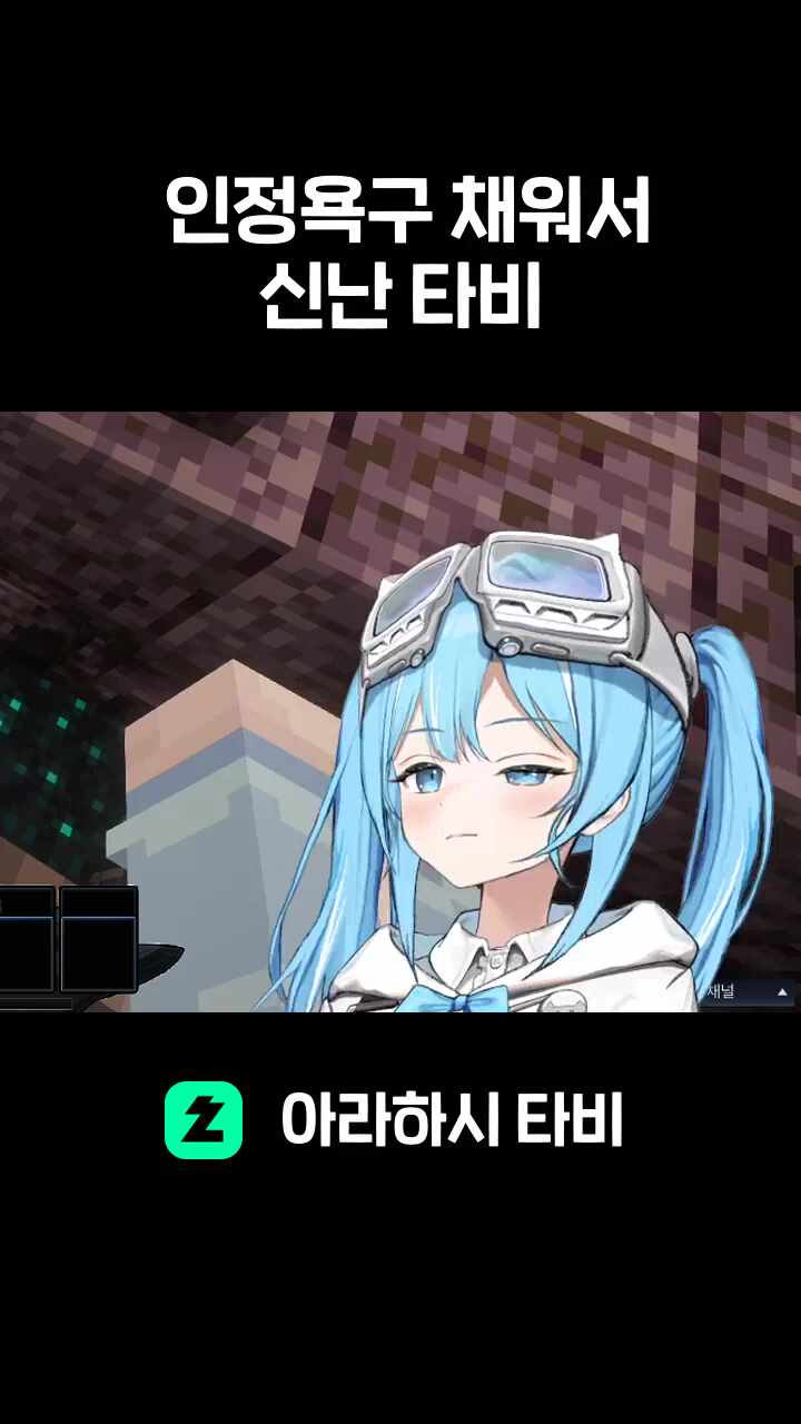 인정욕구 채워서 신난 타비