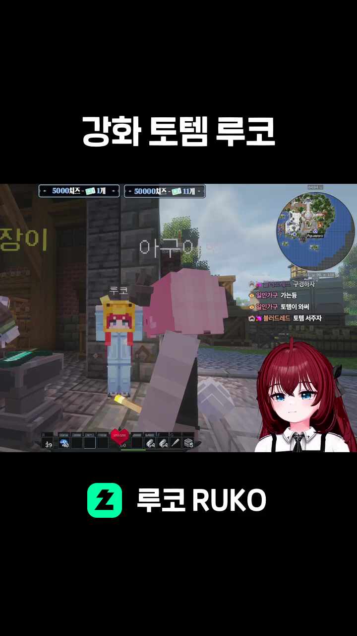 강화 토템 루코