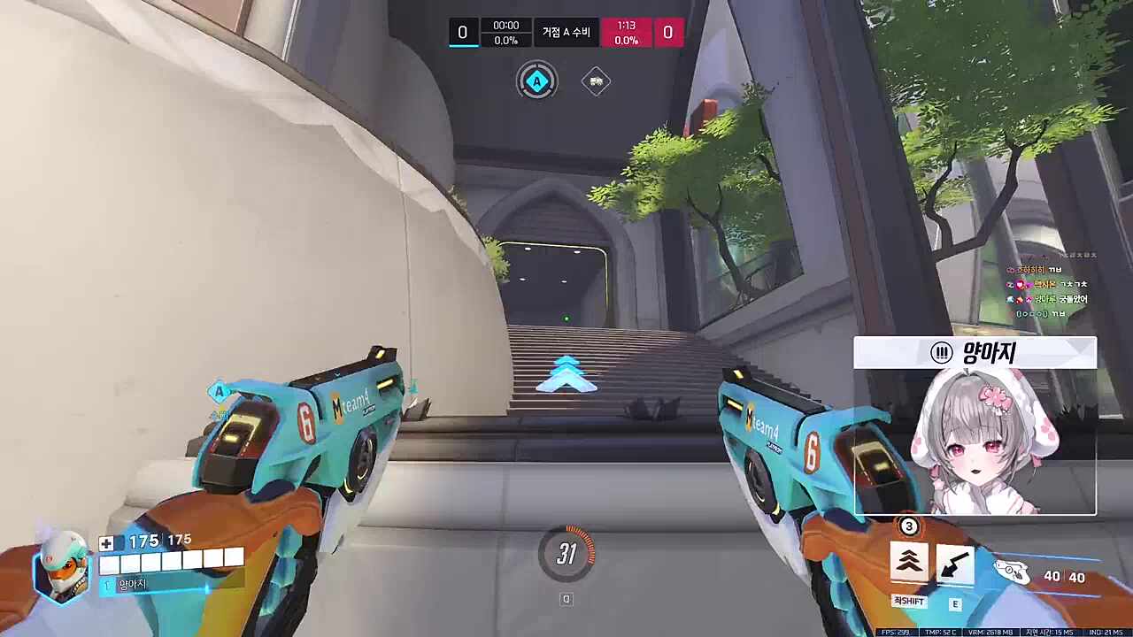 역대급 양아지컵