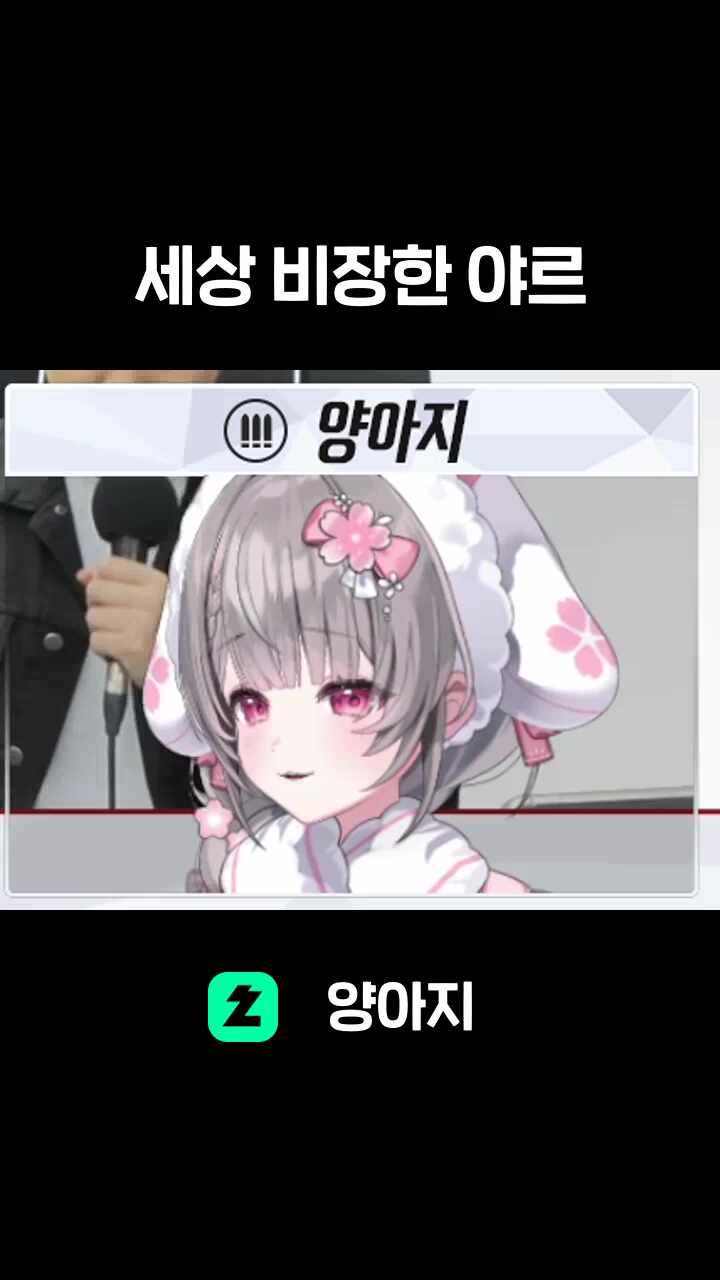 세상 비장한 야르