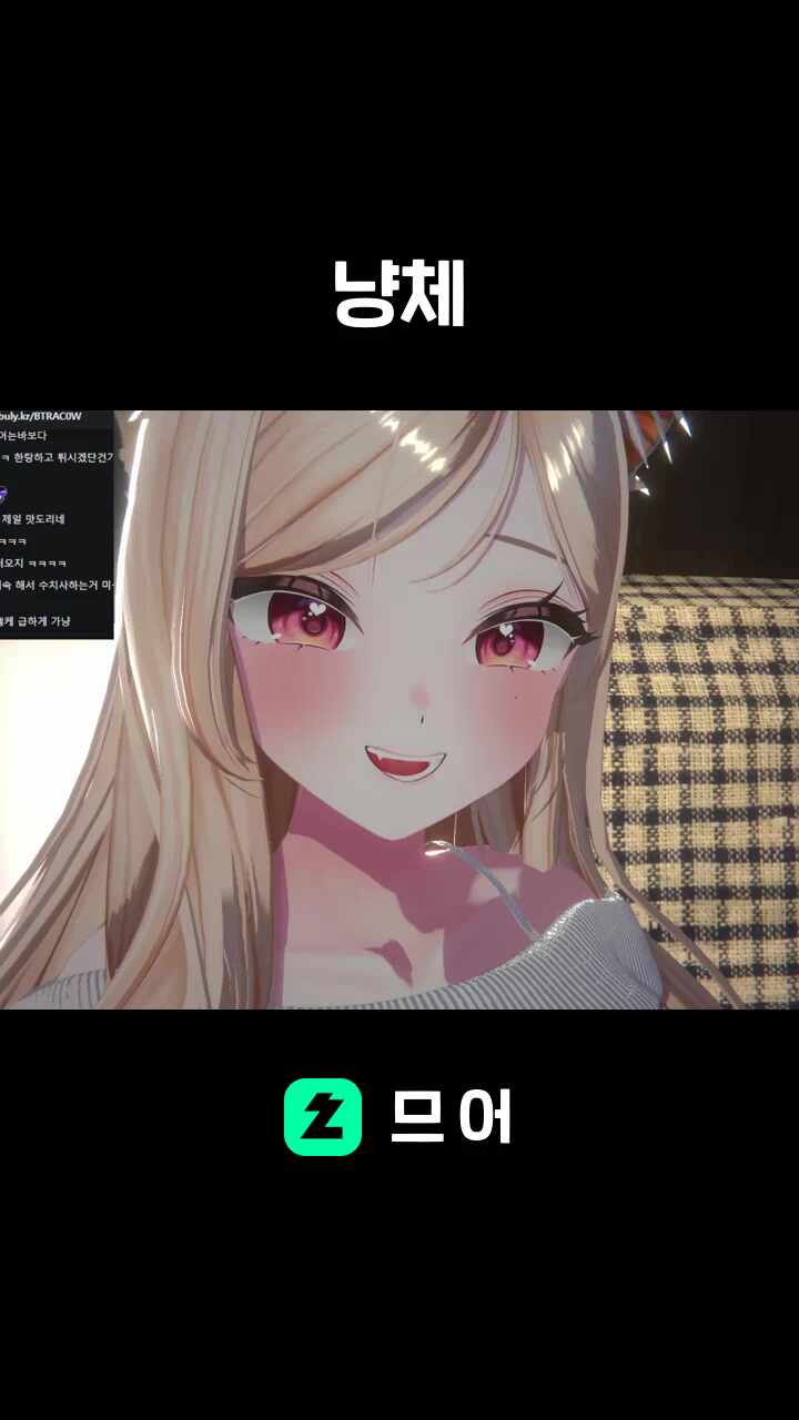 냥체