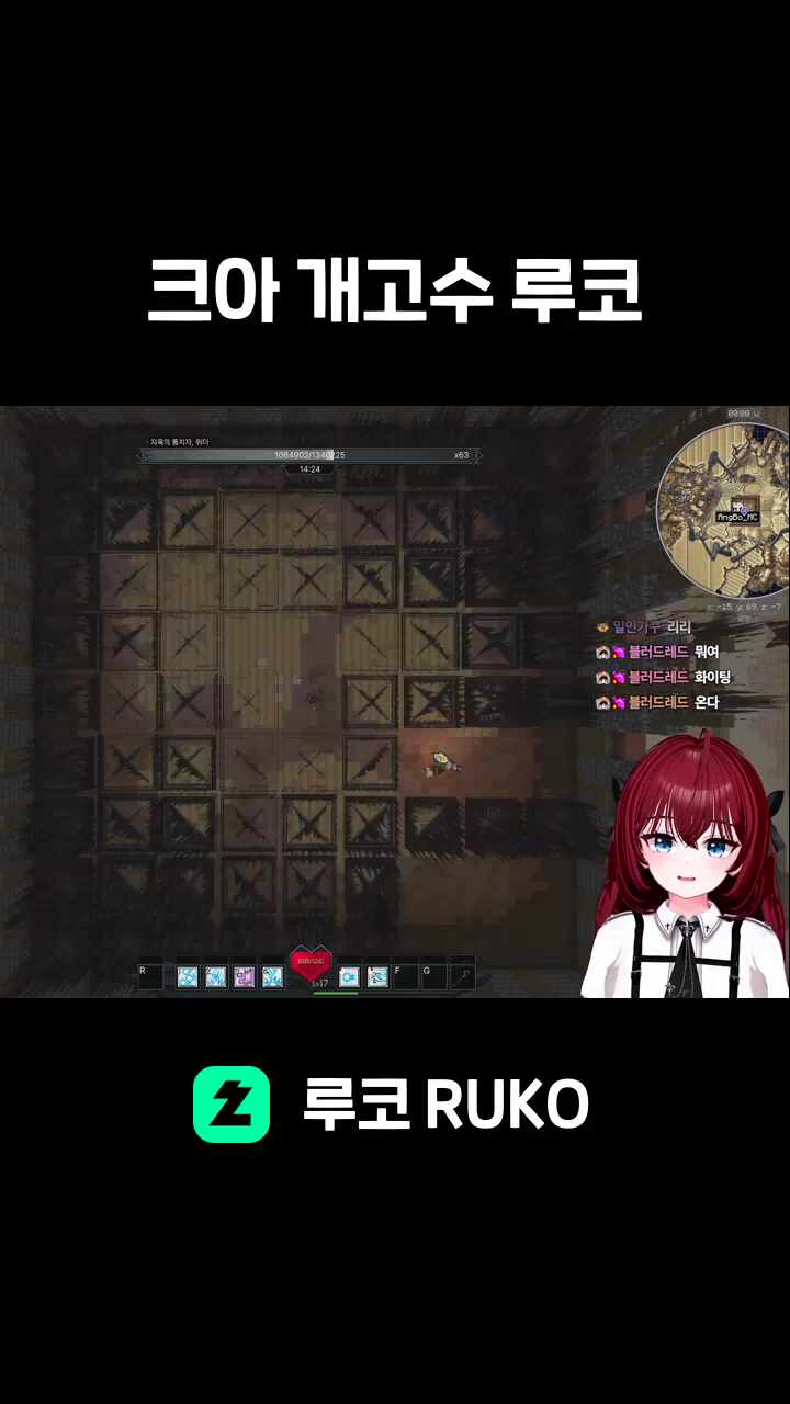 크아 개고수 루코