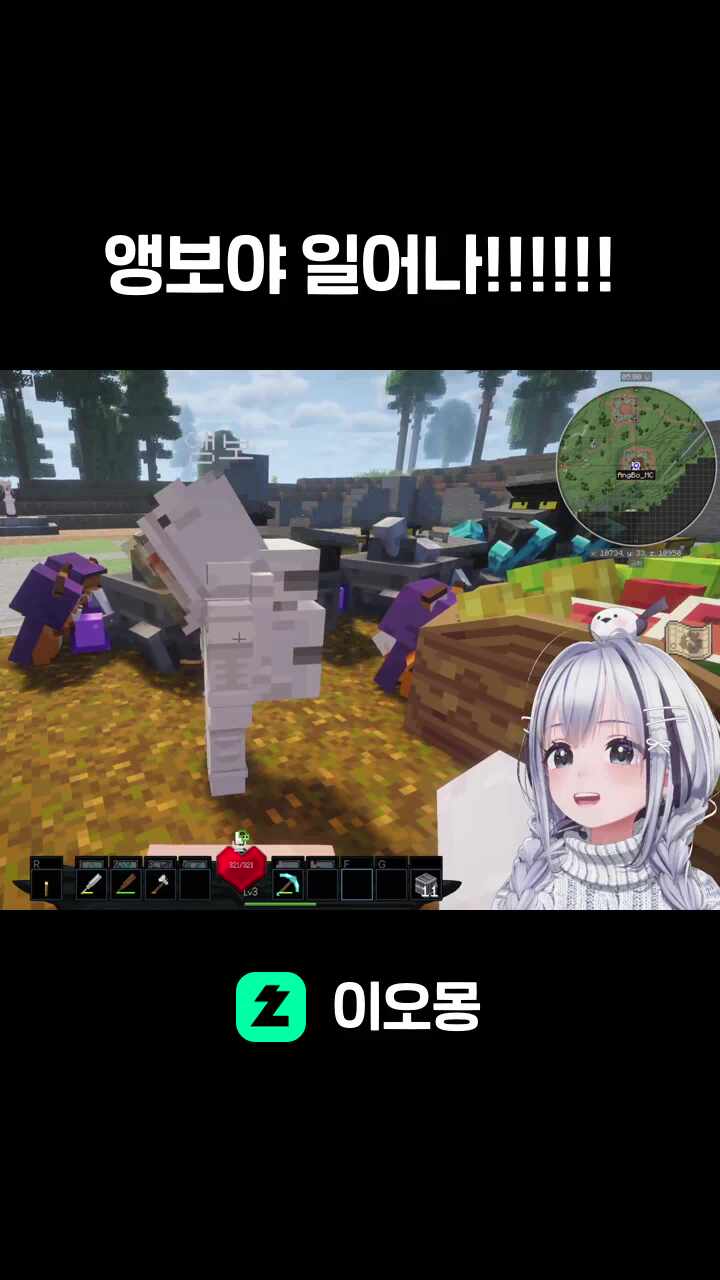 앵보야 일어나!!!!!!