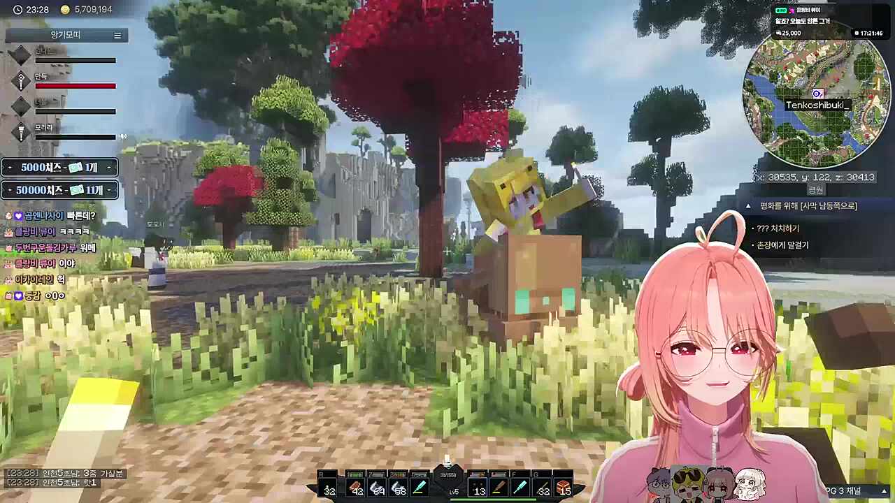 개처귀여운 조카