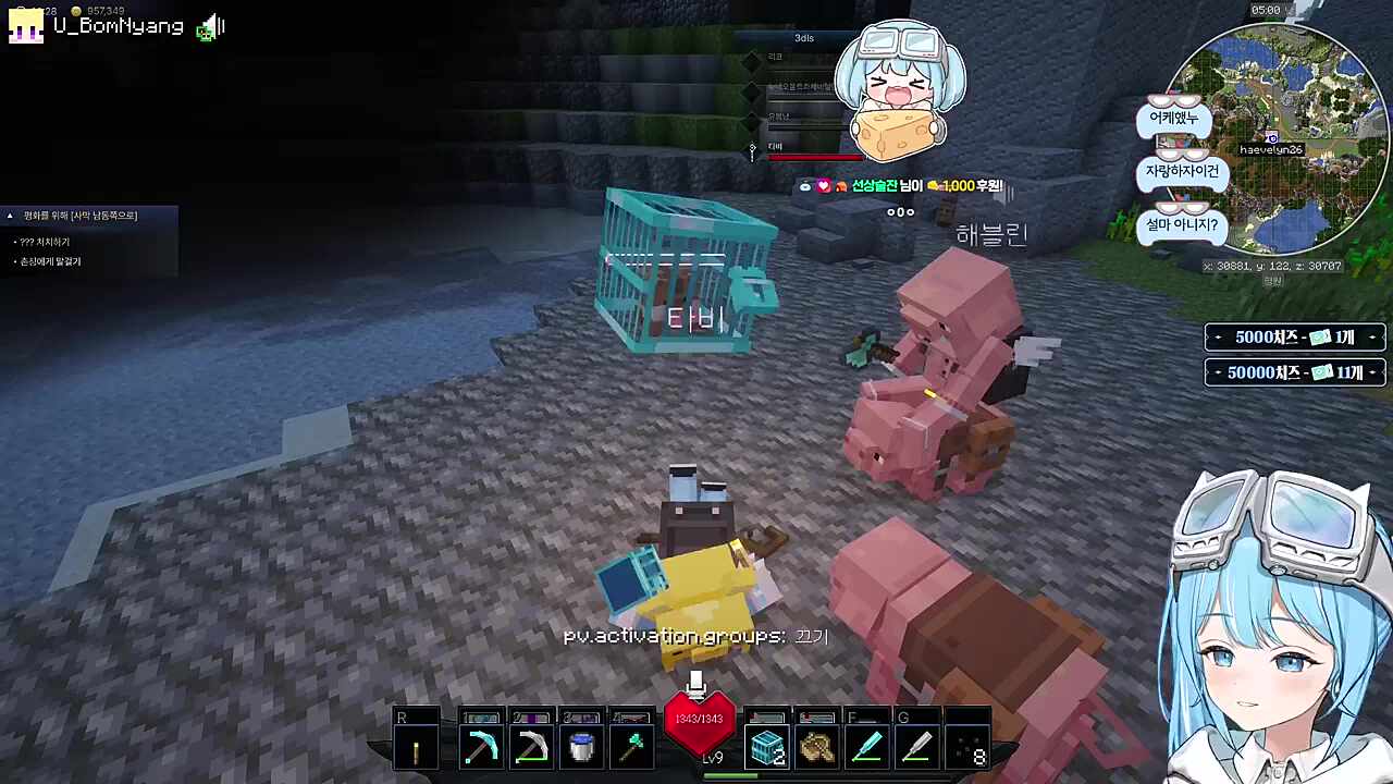 땡깡피우는 타비