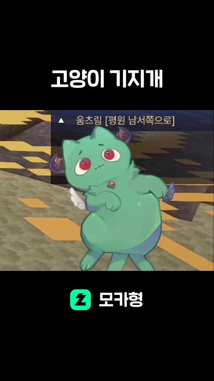 고양이 기지개
