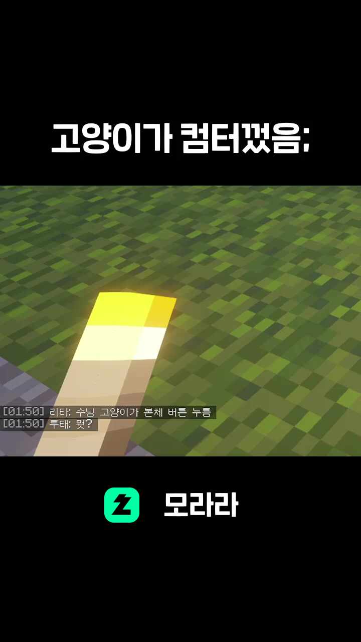 고양이가 컴터껐음;