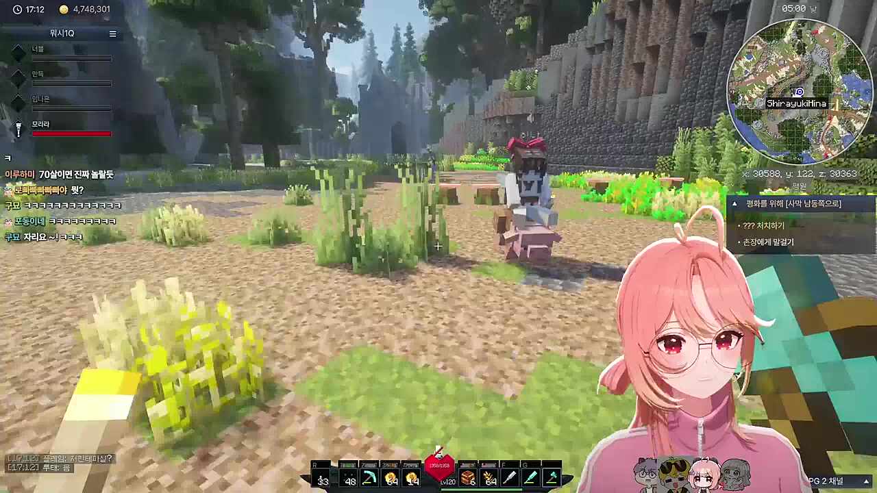 이들에게 양배추란 무엇인가