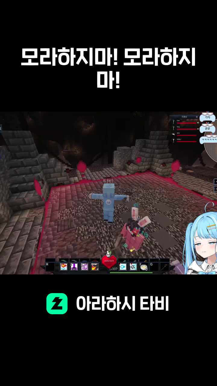 모라하지마! 모라하지마!