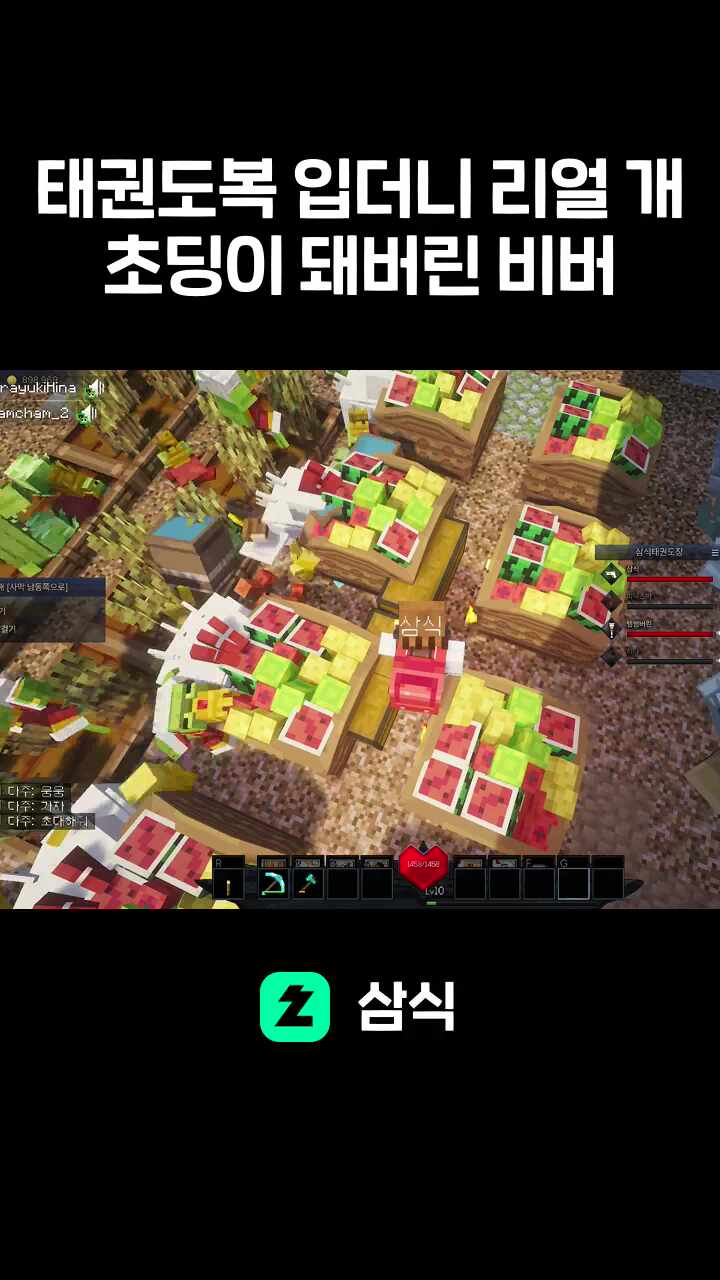 태권도복 입더니 리얼 개초딩이 돼버린 비버