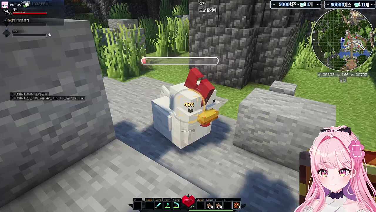 닭 이름이 왜 진짜 치킨쿤이야?ㅋㅋㅋ(이왜진?)