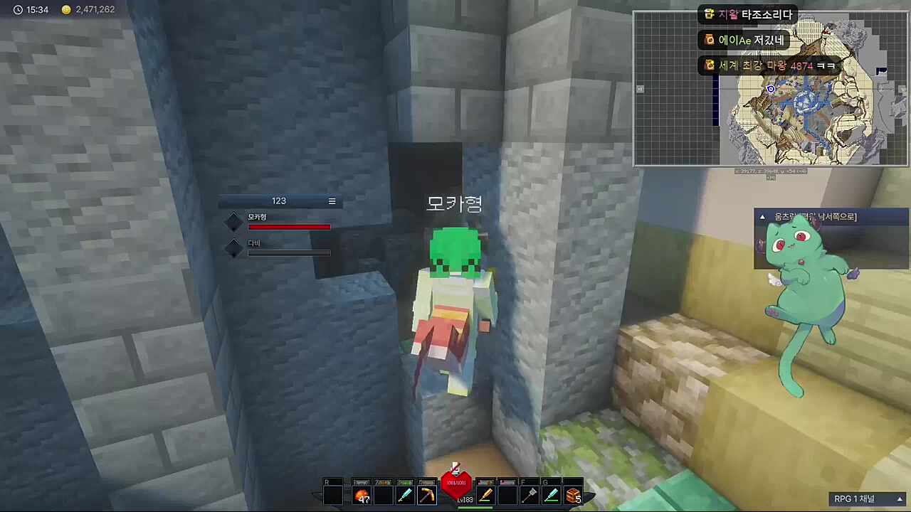 타조가 3마리! +모카타조