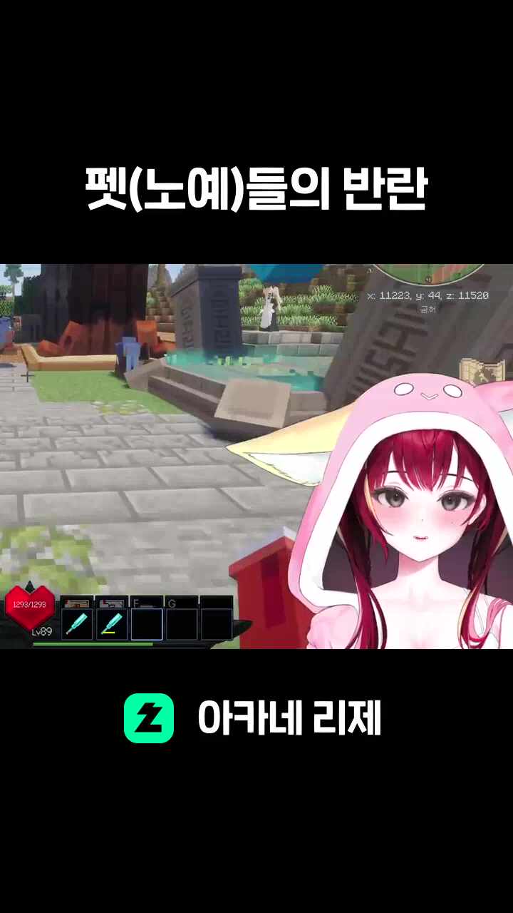 펫(노예)들의 반란