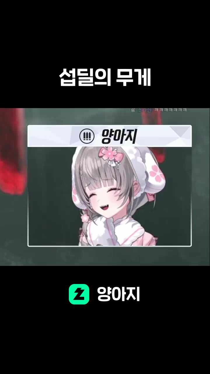 섭딜의 무게