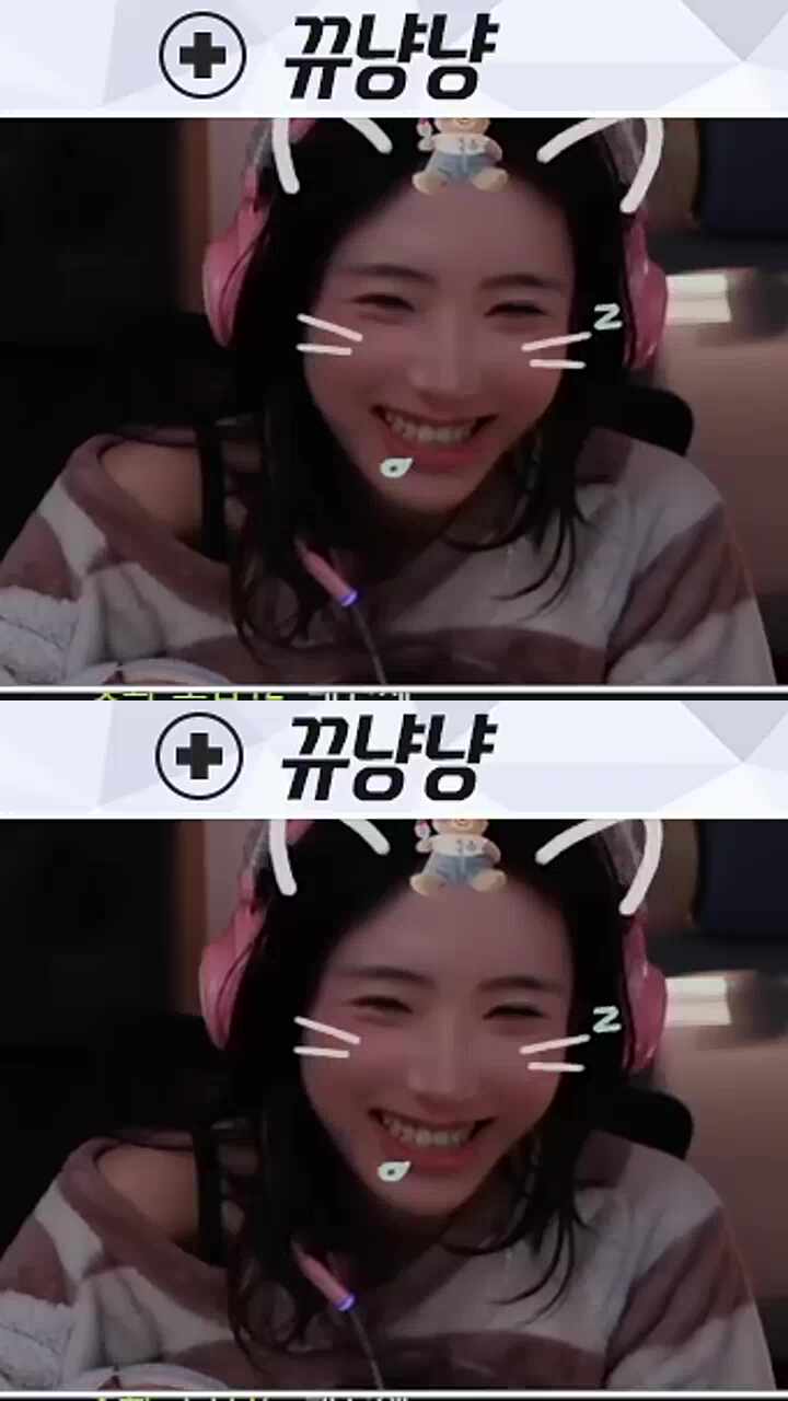 고양이 아니세요? 냐~