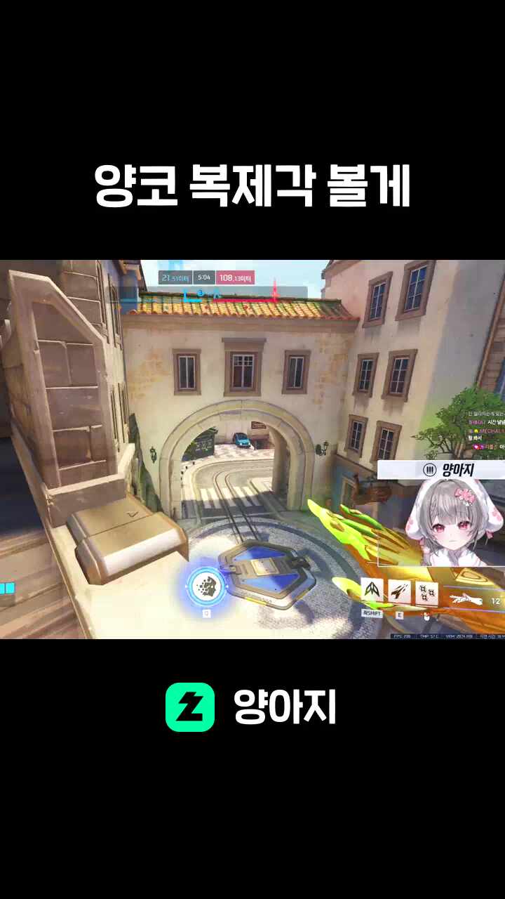 양코 복제각 볼게