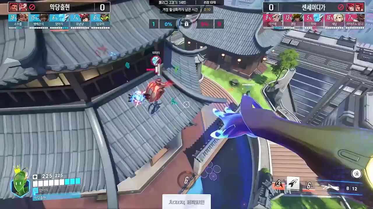 양아지 에코 솔킬