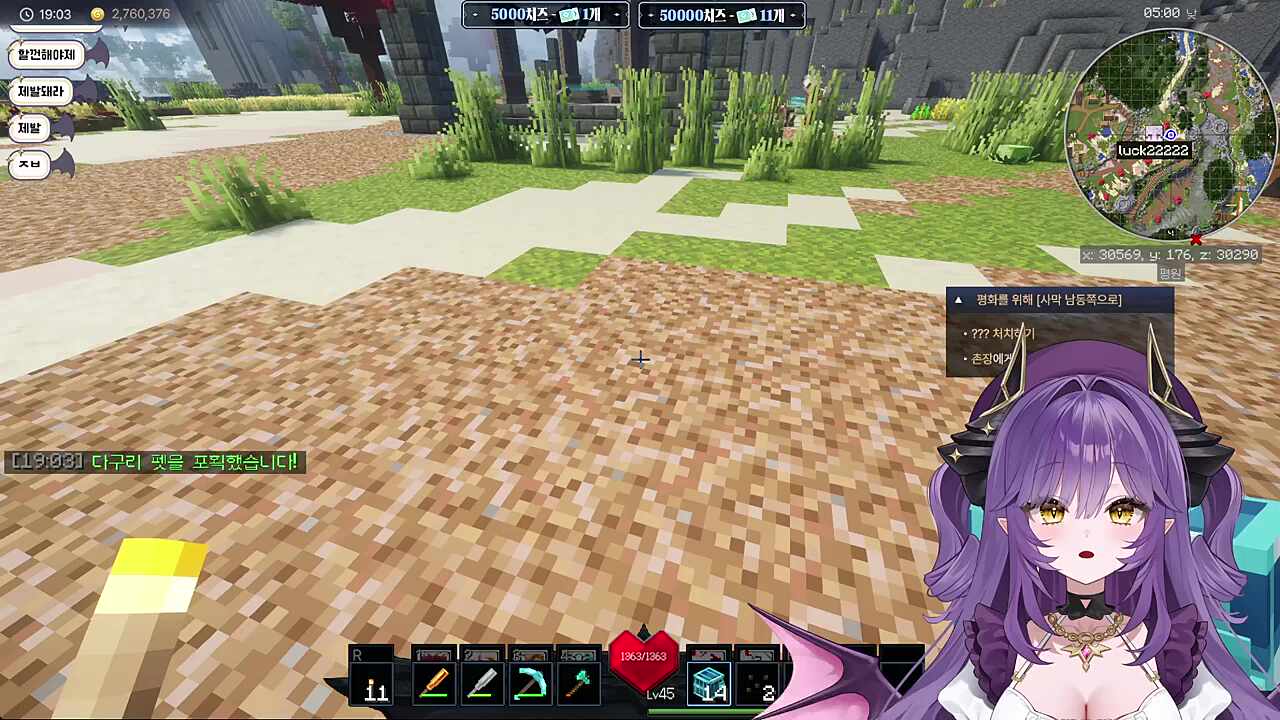 에픽펫을 잡은 후야야