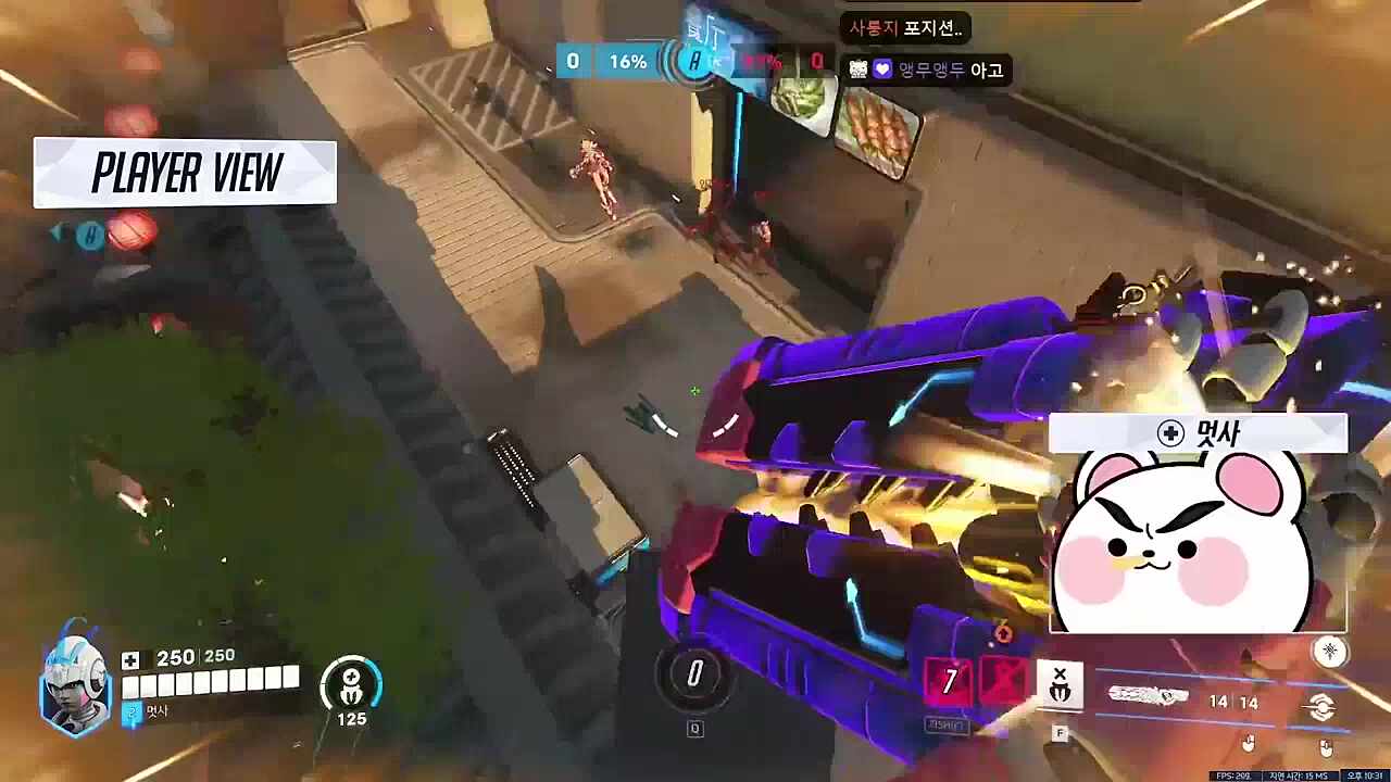 대멋사 하이라이트