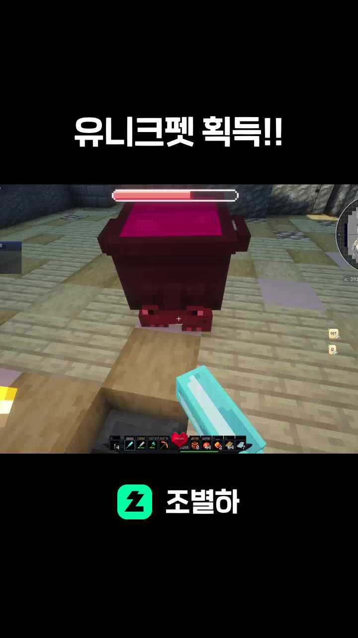 유니크펫 획득!!