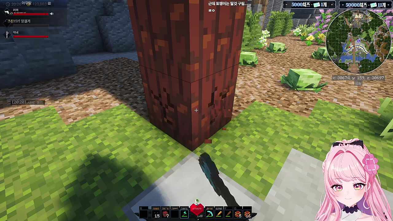 거북이 할아버지 찾는 포요님괴 개쳐늙었다는 악녀님ㅋㅋㅋ