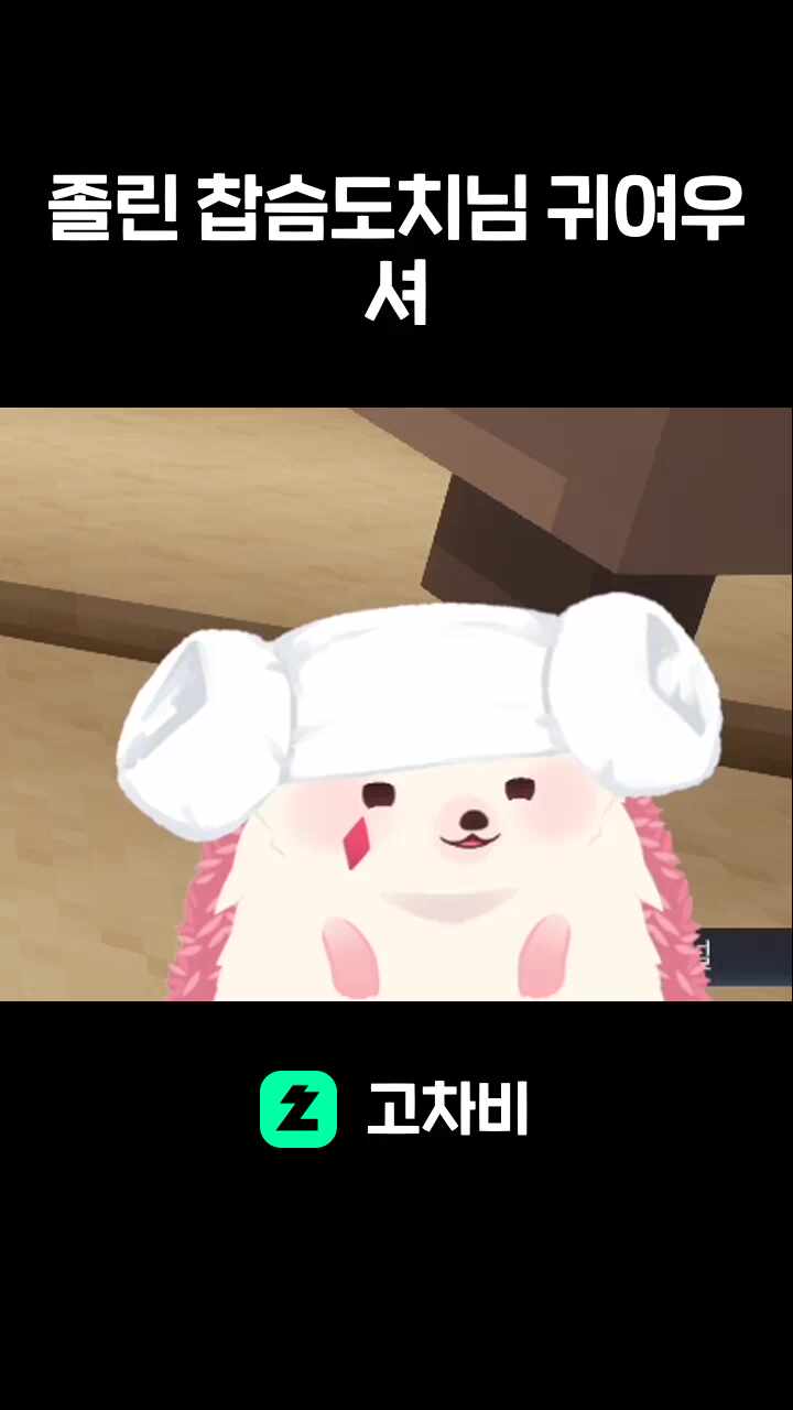 졸린 찹슴도치님 귀여우셔