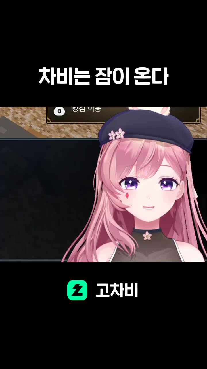 차비는 잠이 온다