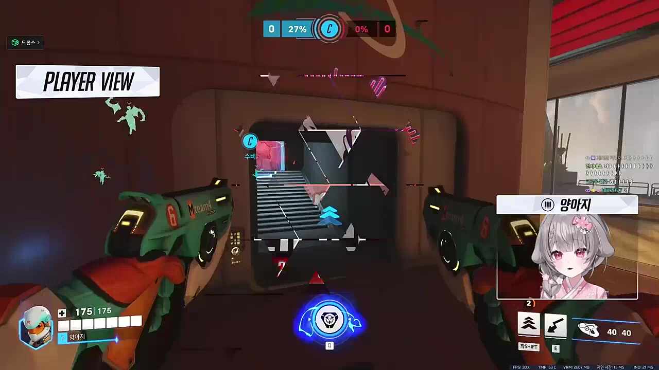 양아지 당신 오버워치 하고있어