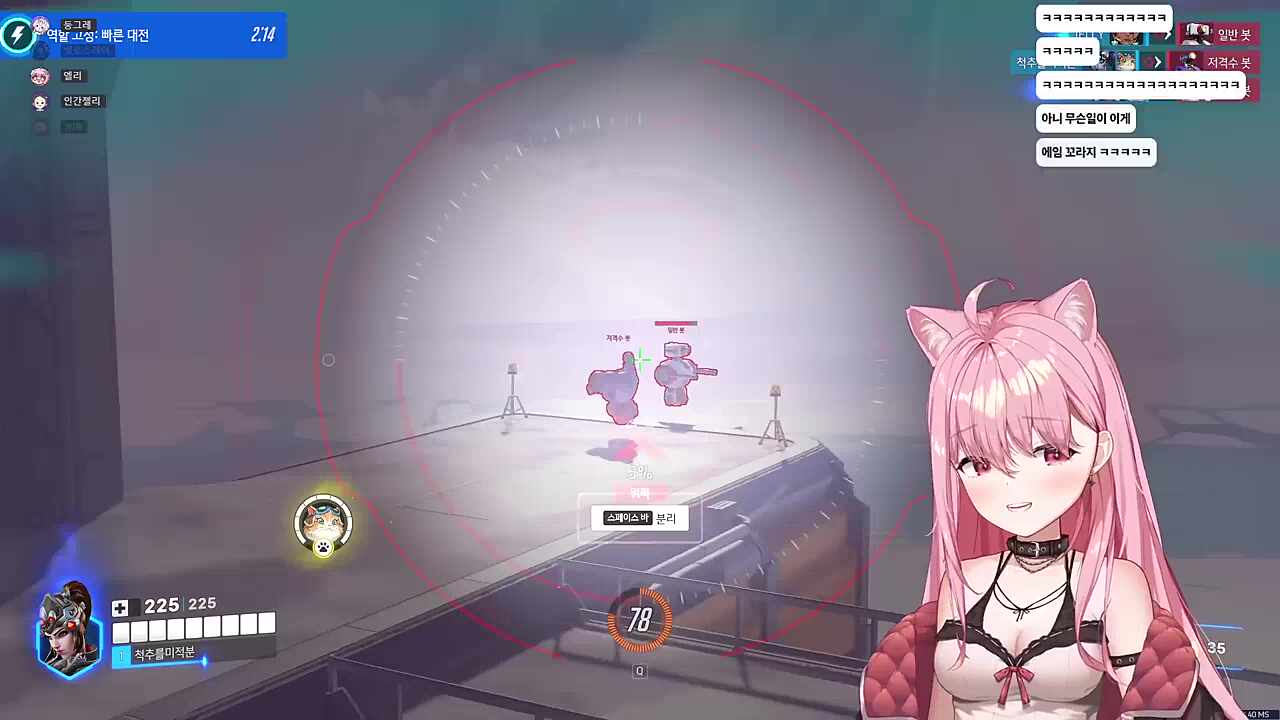 기가막힌 위도우 냥이 택틱