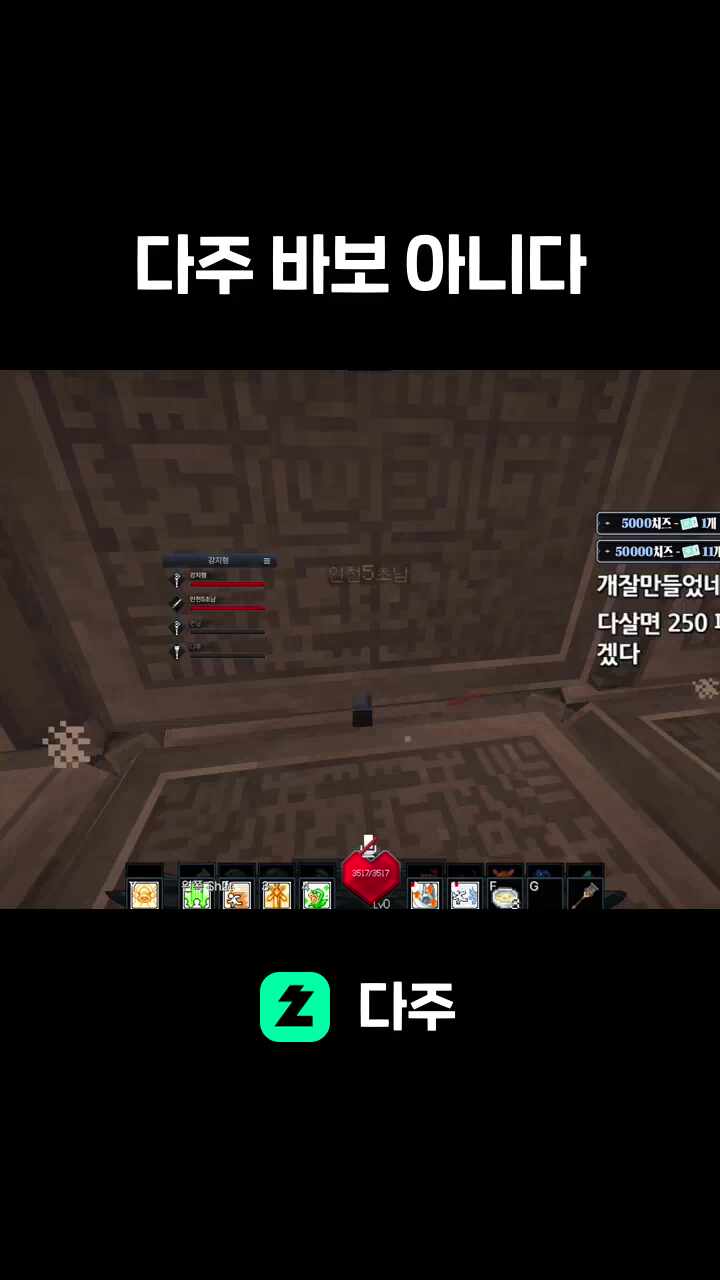 다주 바보 아니다