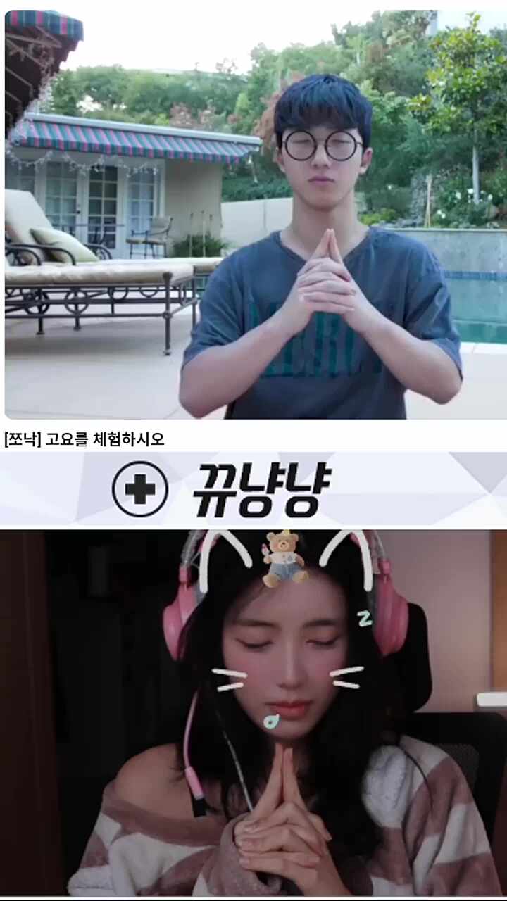 쪼낙의 고요를 체험하는 뀨냥냥