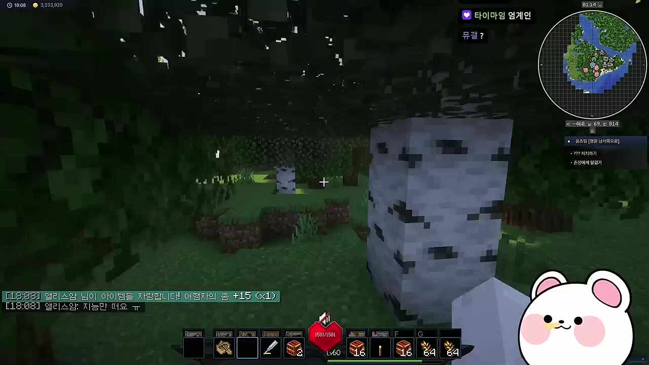 베라에서 두바이 엄마 나왔다는데