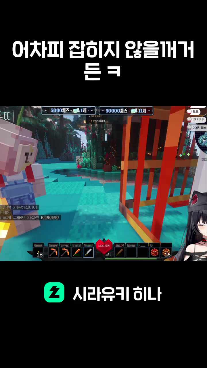 어차피 잡히지 않을꺼거든 ㅋ