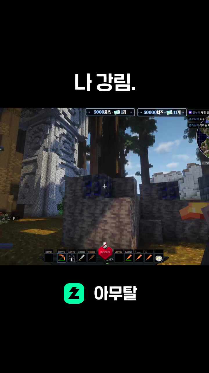 야생의 다비가 등장했다!