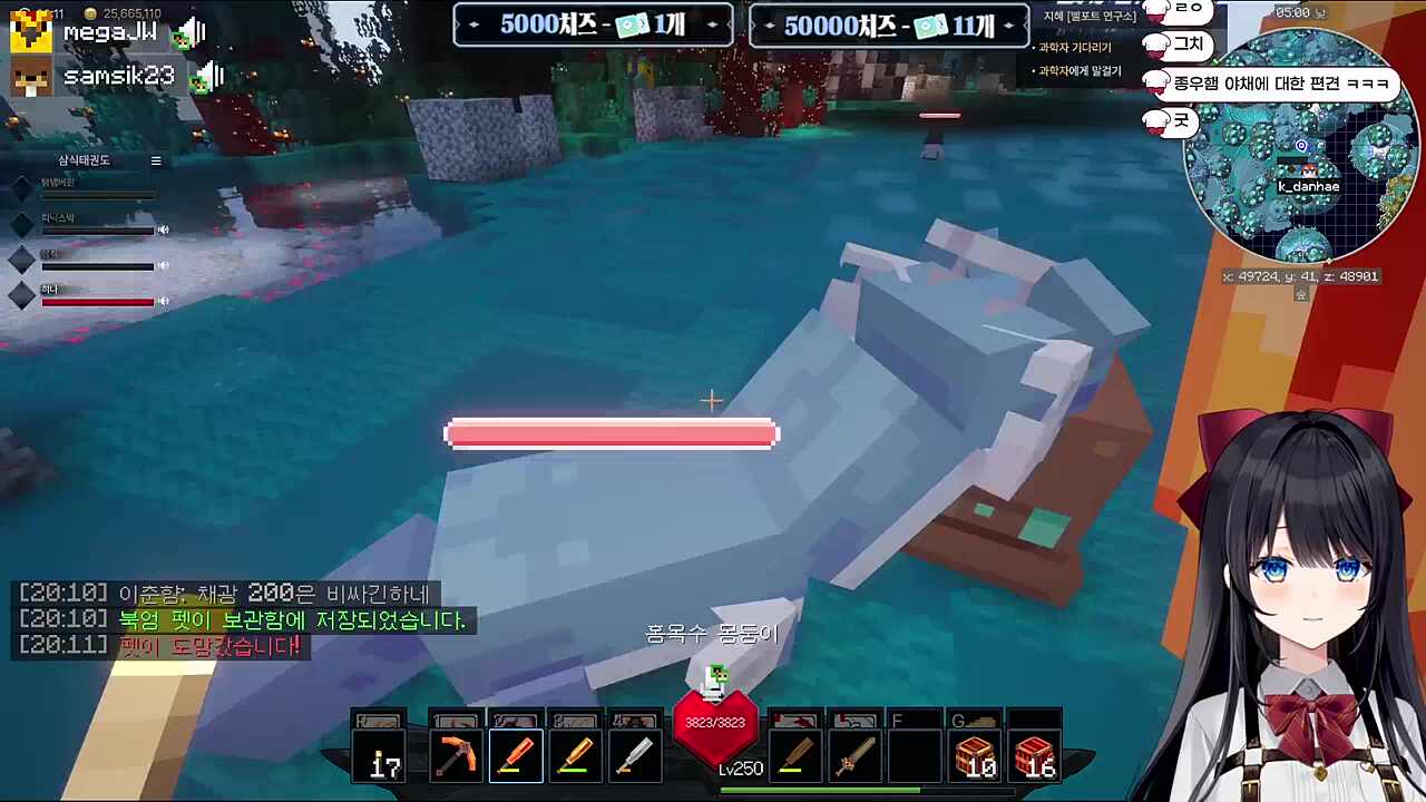 오 미뇽이다! 오 해마다!!