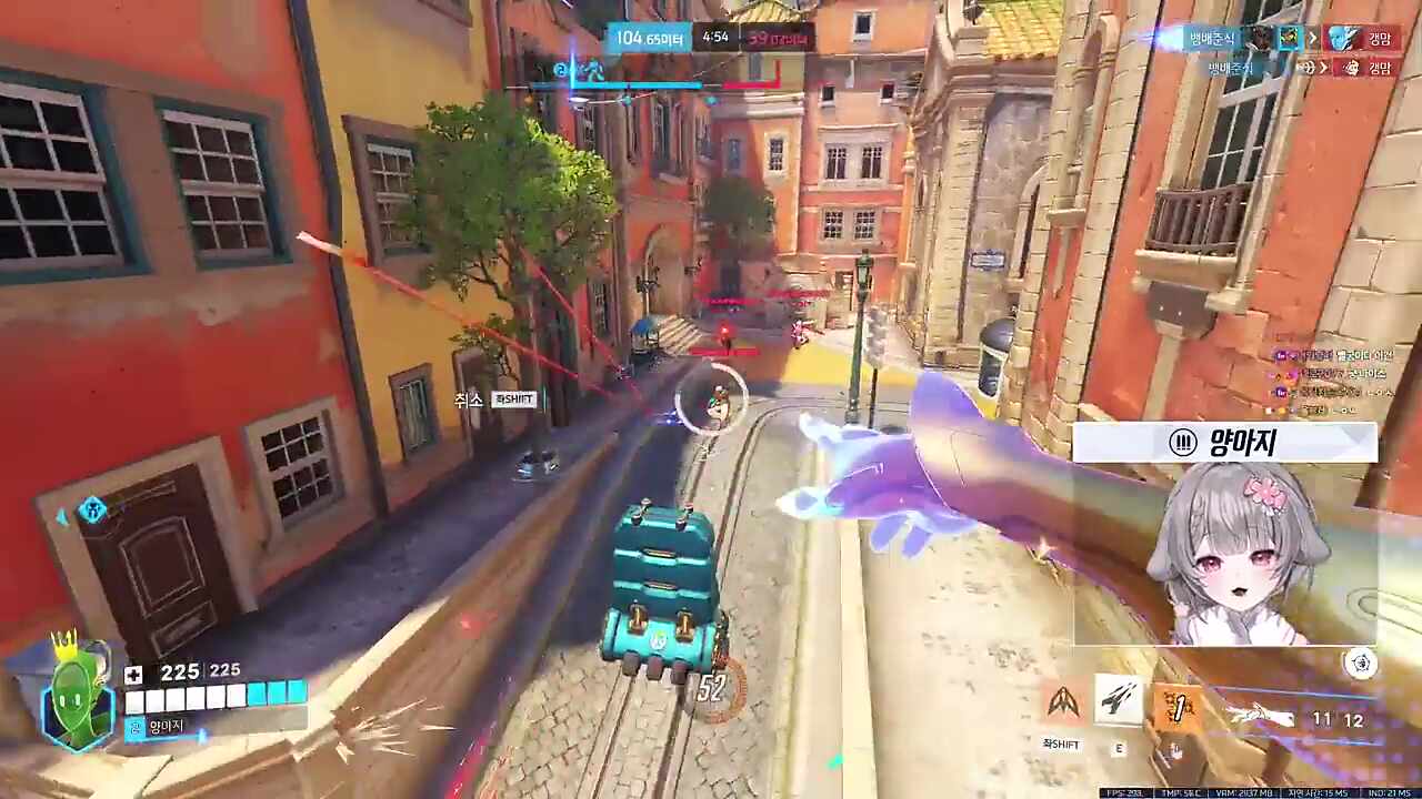 견문색 패기쓰는 양코