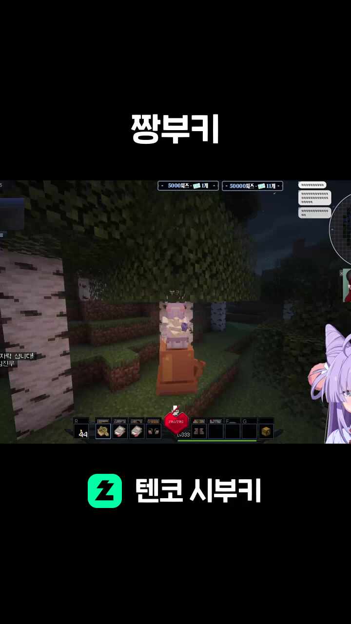 짱부키