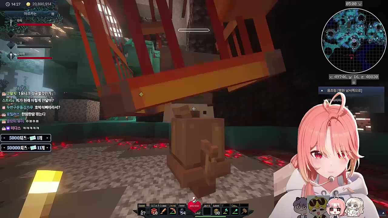 버섯 유니크 펫을 발견을 했으나..