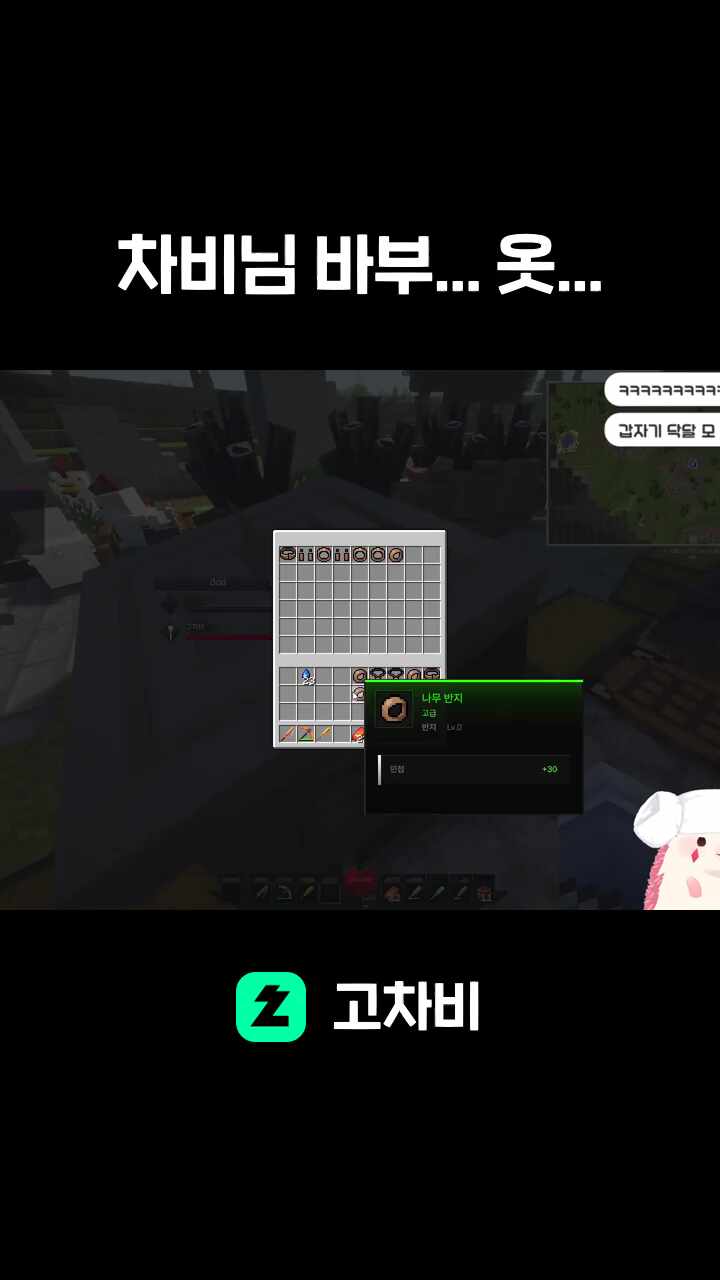 차비님 바부... 옷...