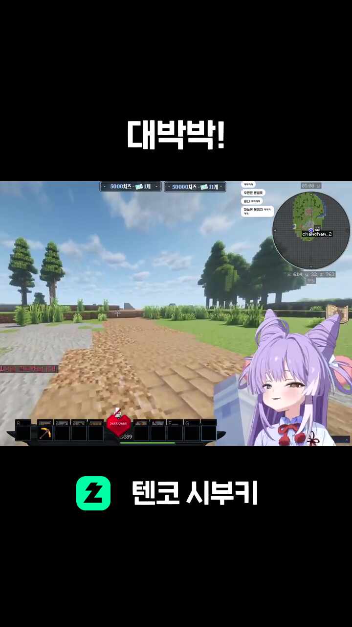 대박박!