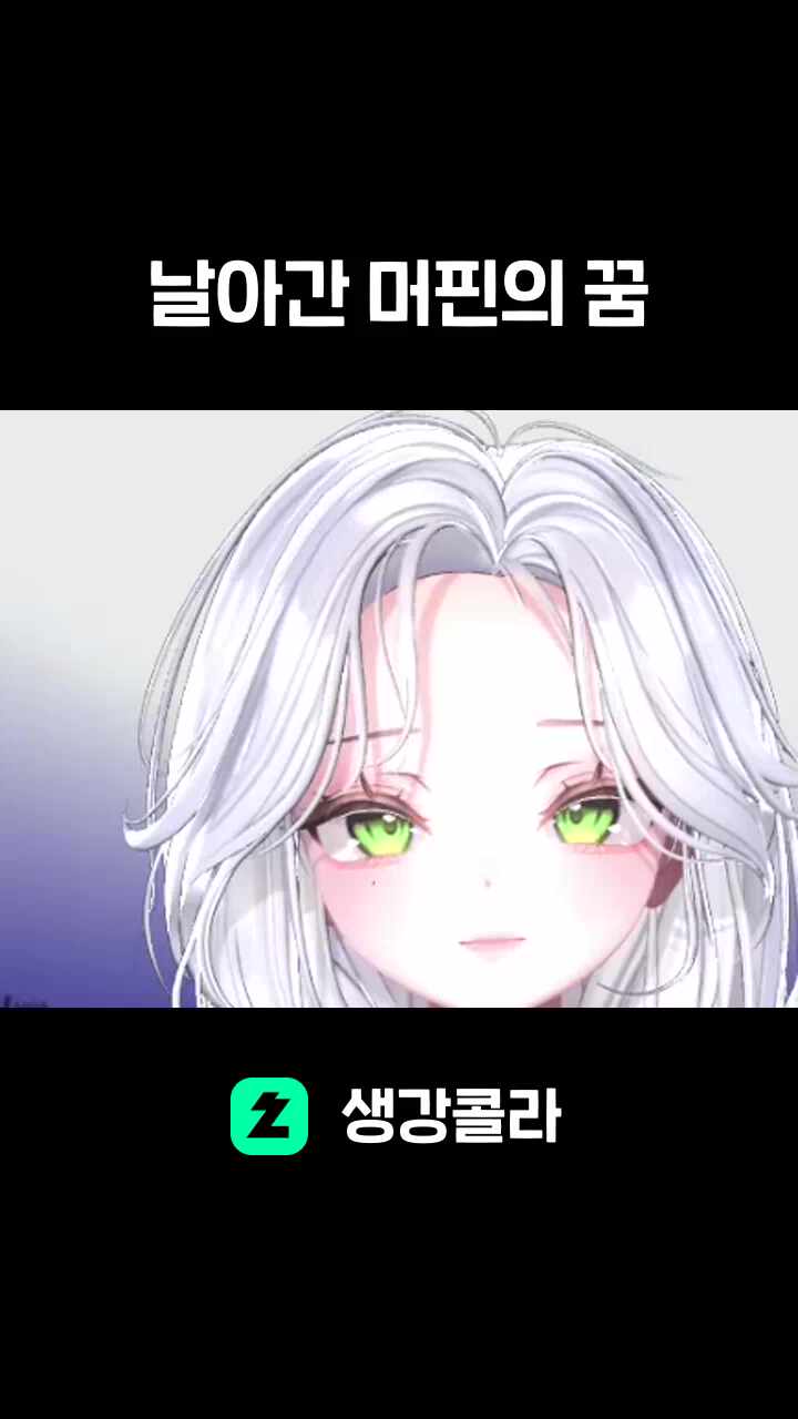 날아간 머핀의 꿈