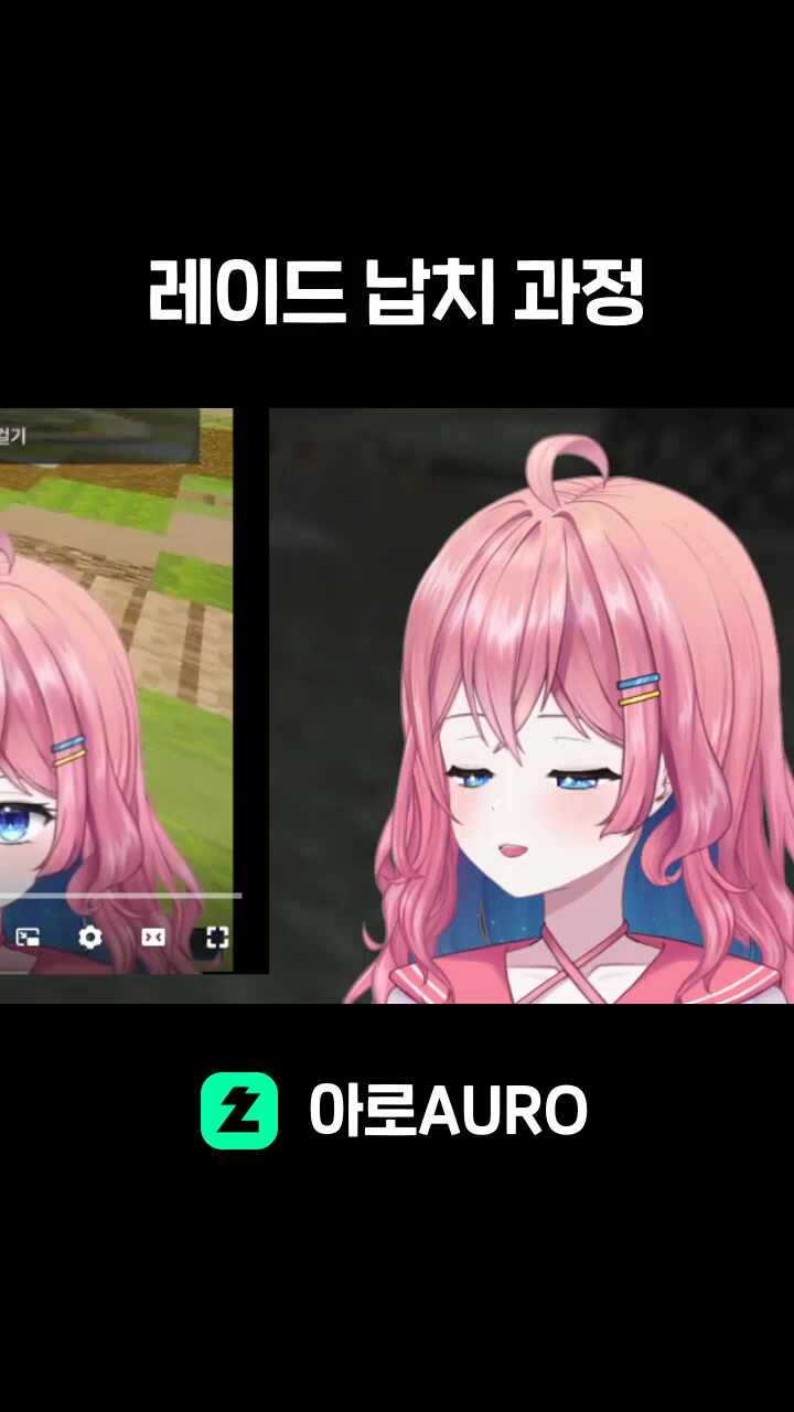 레이드 납치 과정