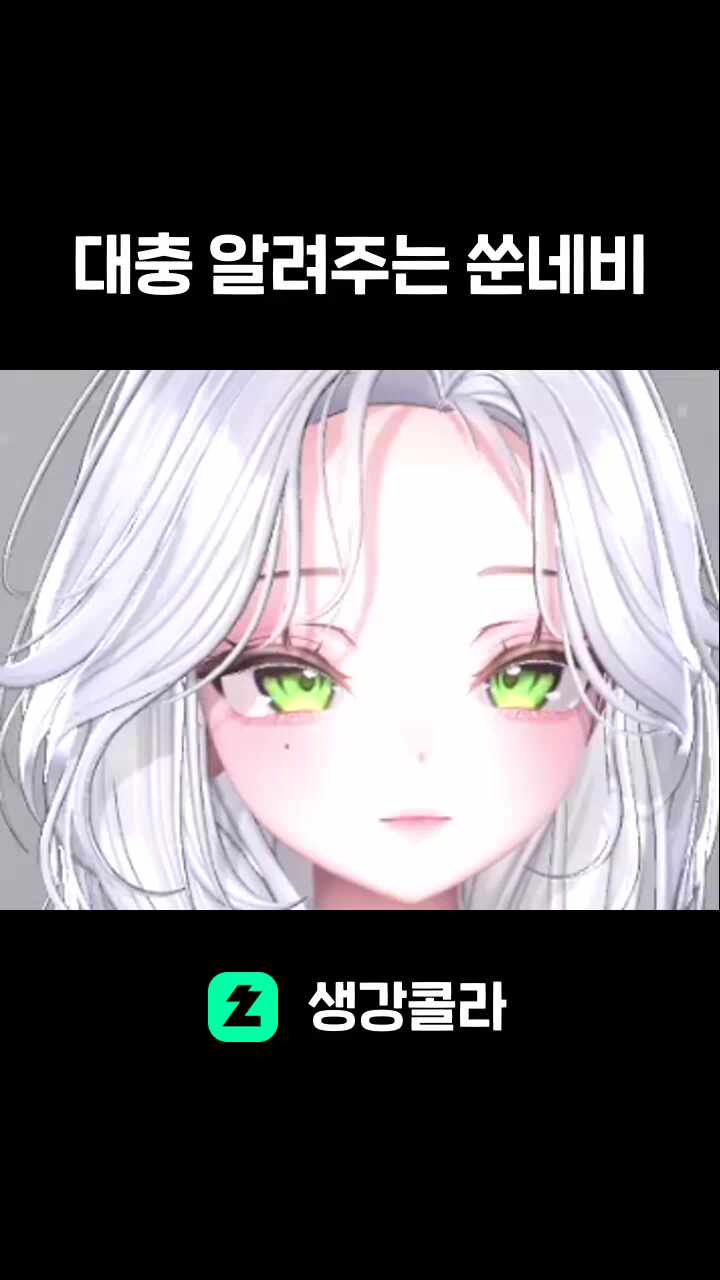 대충 알려주는 쑨네비