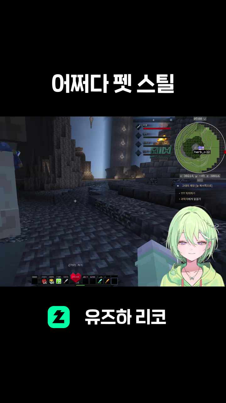 어쩌다 펫 스틸