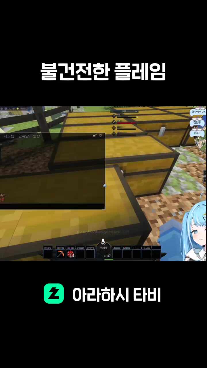 불건전한 플레임