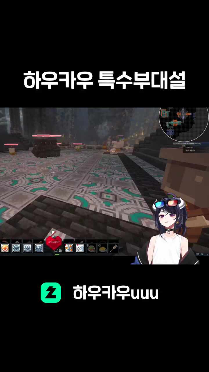 하우카우 특수부대설